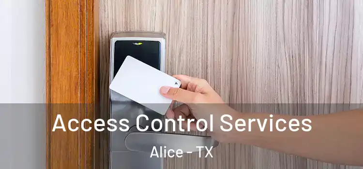  Access Control Services Alice - TX