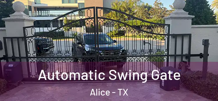  Automatic Swing Gate Alice - TX