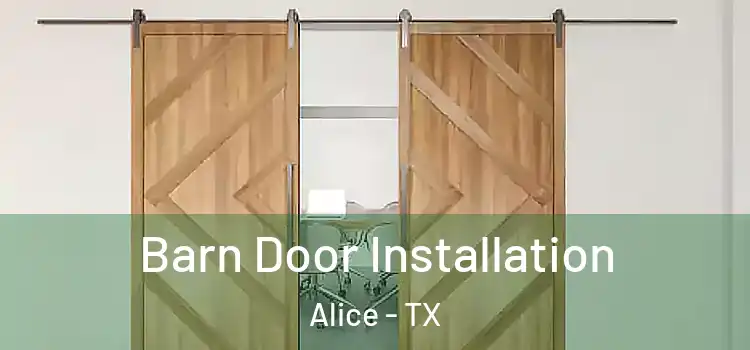  Barn Door Installation Alice - TX