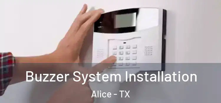  Buzzer System Installation Alice - TX