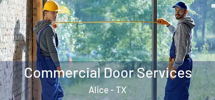  Commercial Door Services Alice - TX
