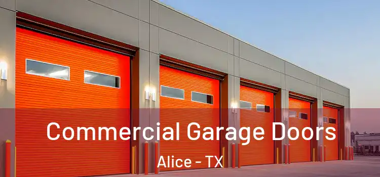  Commercial Garage Doors Alice - TX