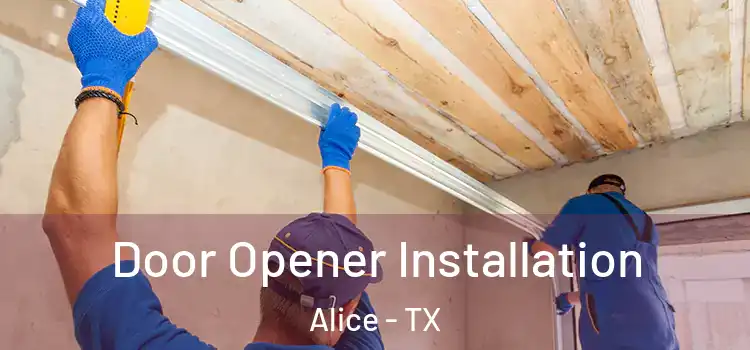  Door Opener Installation Alice - TX