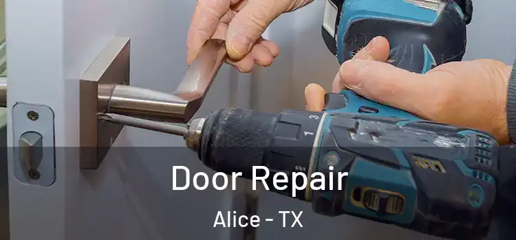  Door Repair Alice - TX