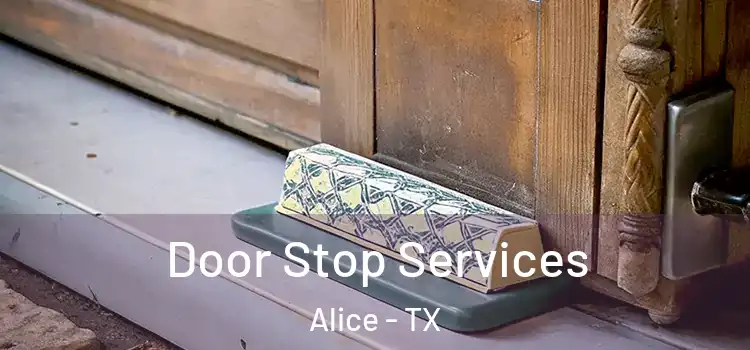  Door Stop Services Alice - TX