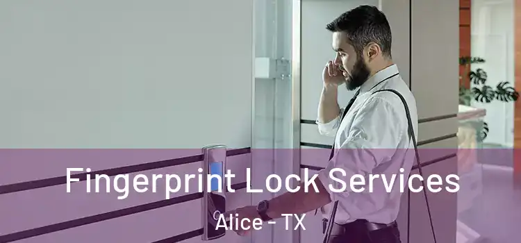  Fingerprint Lock Services Alice - TX