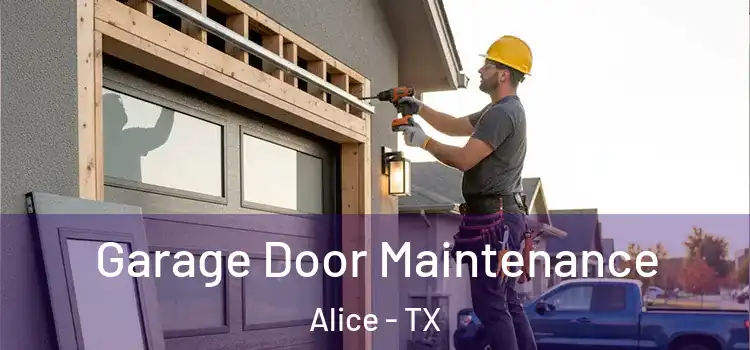  Garage Door Maintenance Alice - TX