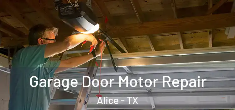  Garage Door Motor Repair Alice - TX