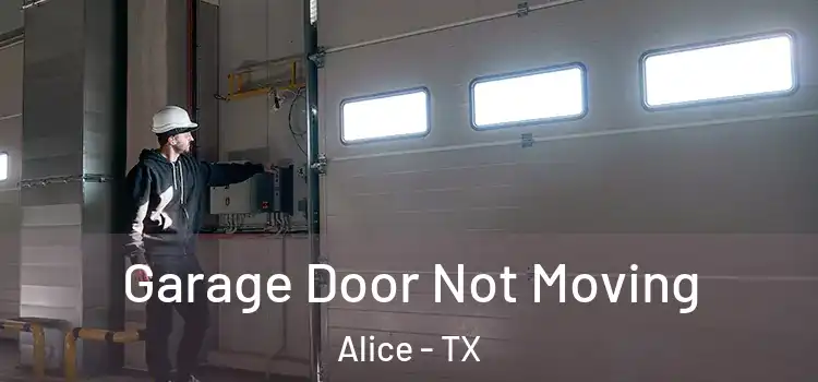  Garage Door Not Moving Alice - TX