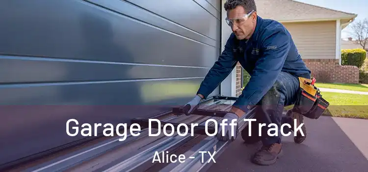  Garage Door Off Track Alice - TX