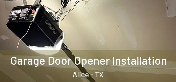  Garage Door Opener Installation Alice - TX