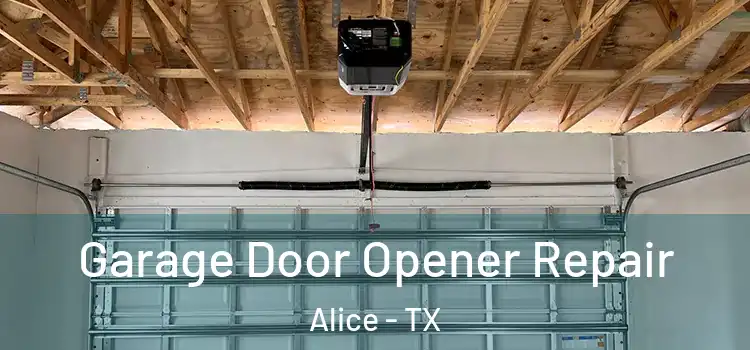  Garage Door Opener Repair Alice - TX