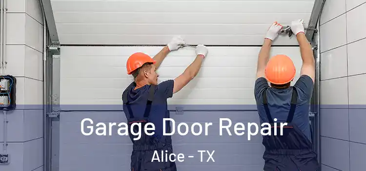  Garage Door Repair Alice - TX
