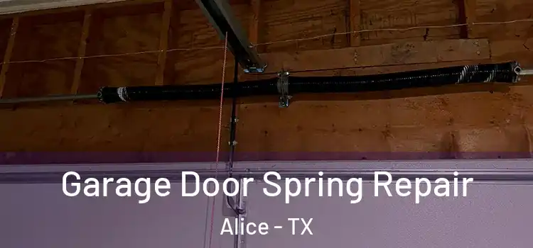  Garage Door Spring Repair Alice - TX
