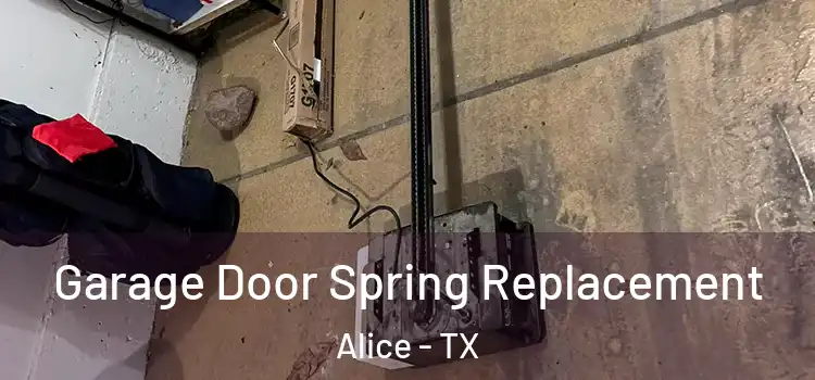  Garage Door Spring Replacement Alice - TX