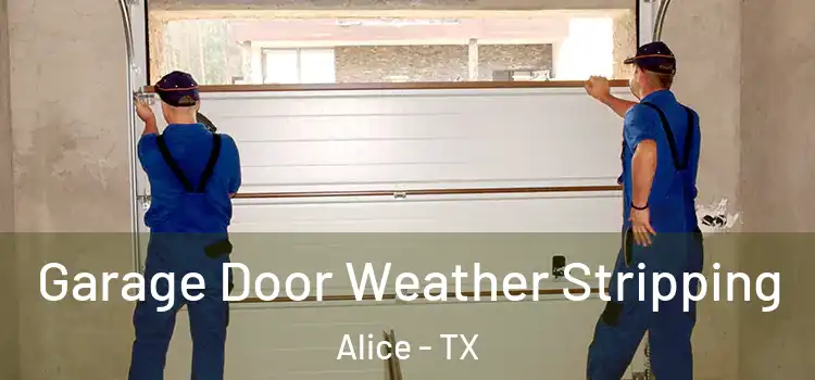  Garage Door Weather Stripping Alice - TX
