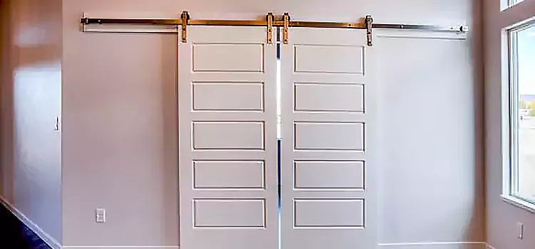 Glass Barn Door with Installation Hardware Kit Alice