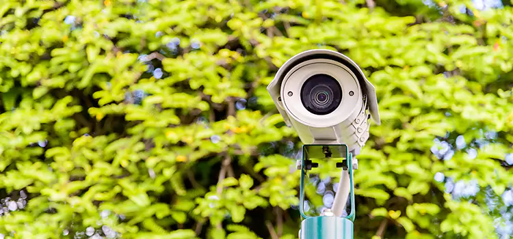Advanced Surveillance Solutions for Every Need in Alice