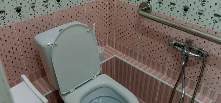 Meeting Diverse Needs With Accessible Restroom Solutions in Alice, TX