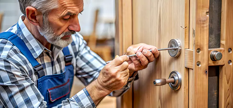 Mortise Replacement Lock Alice