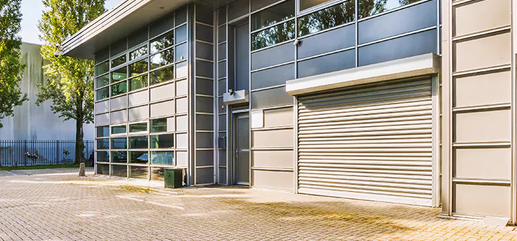 Electric Roller Garage Doors Alice