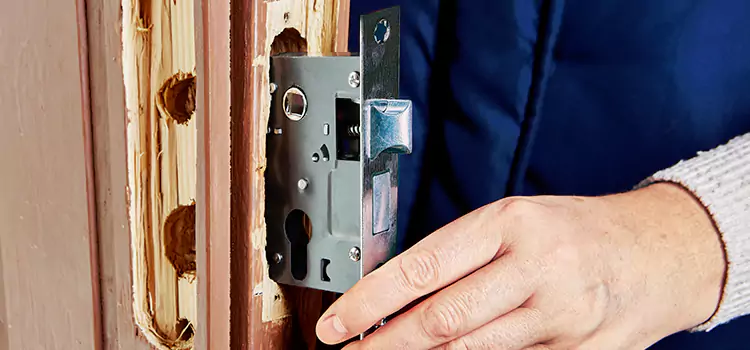 Garage Door Lock Replacement Alice