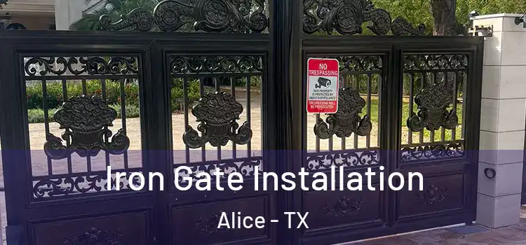  Iron Gate Installation Alice - TX