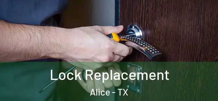  Lock Replacement Alice - TX