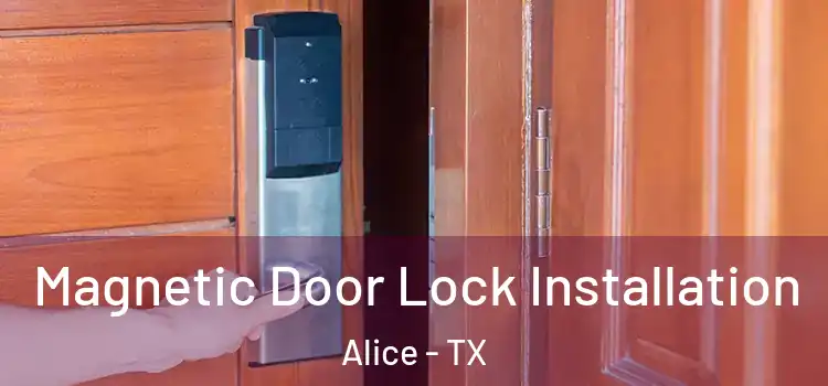  Magnetic Door Lock Installation Alice - TX