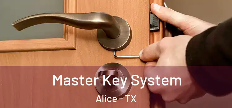  Master Key System Alice - TX