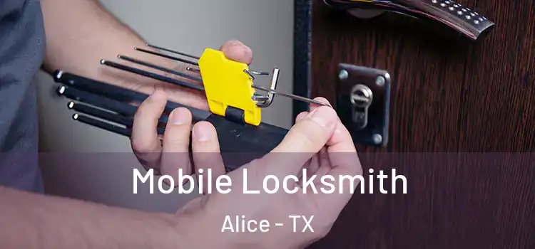  Mobile Locksmith Alice - TX