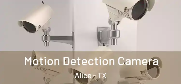  Motion Detection Camera Alice - TX