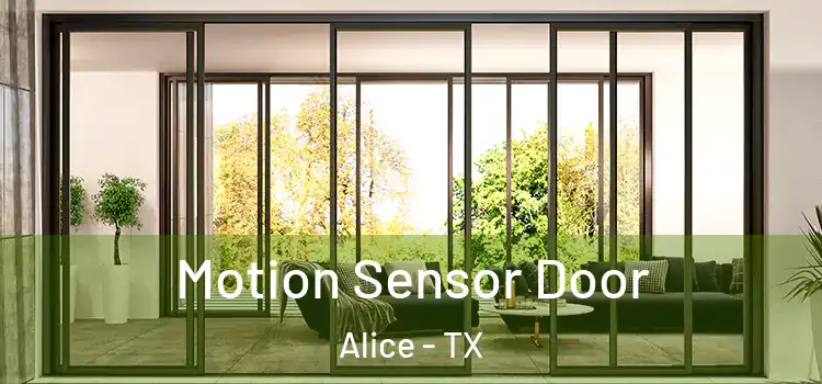  Motion Sensor Door Alice - TX