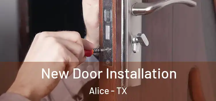  New Door Installation Alice - TX