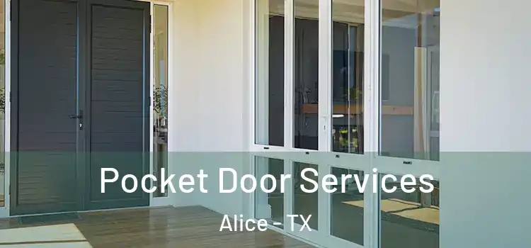  Pocket Door Services Alice - TX