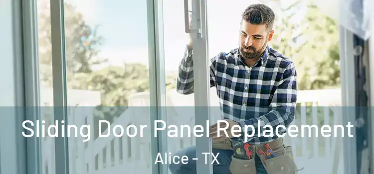  Sliding Door Panel Replacement Alice - TX